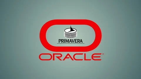 Complete Primavera P6 Diploma ( Basic &Advanced Level)