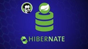 Hibernate and Spring Data JPA Beginner to Guru