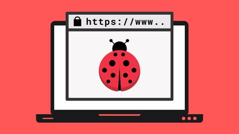 Learn Bug Bounty Hunting Web Security Testing From Scratch
