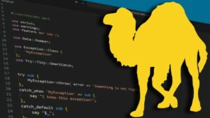 Perl Programming