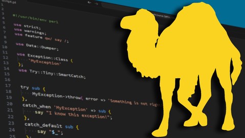 Perl Programming: Understanding The Basics [2024]