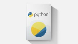 Python The Professional Guide For Beginners (2024 Edition)