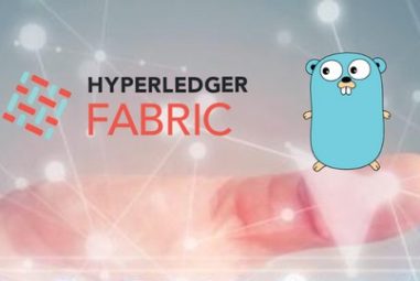 Blockchain: Complete Hyperledger Fabric Development Bootcamp