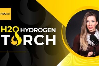 H2O Hydrogen Torch Starter Course