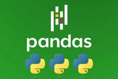 Master Pandas and Python for Data Handling [2024]