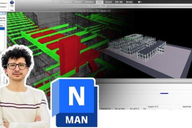 Navisworks Manage – from Beginner to Advanced