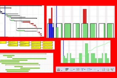 Planning & Control with Oracle Primavera P6 PPM Professional