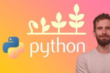 Python Mega Course: Learn Python in 60 Days, Build 20 Apps