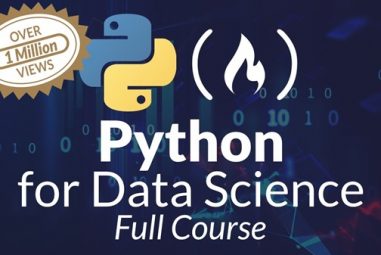 10 Best Python for Data Science Courses on Udemy (2025)