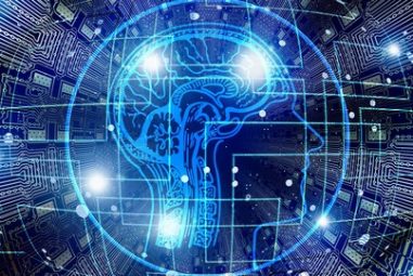 The Absolute Beginners Guide to Information Technology 2024