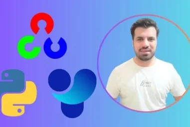 YOLO11: Custom Object Detection & Web Apps in Python 2024